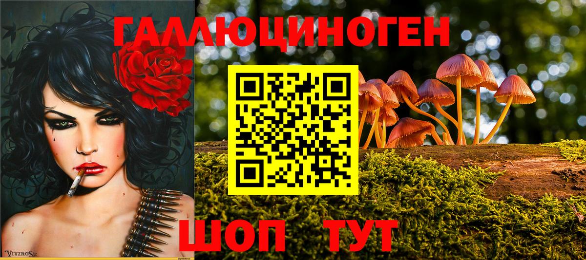 Галлюциногенные грибы Cubensis Клинцы