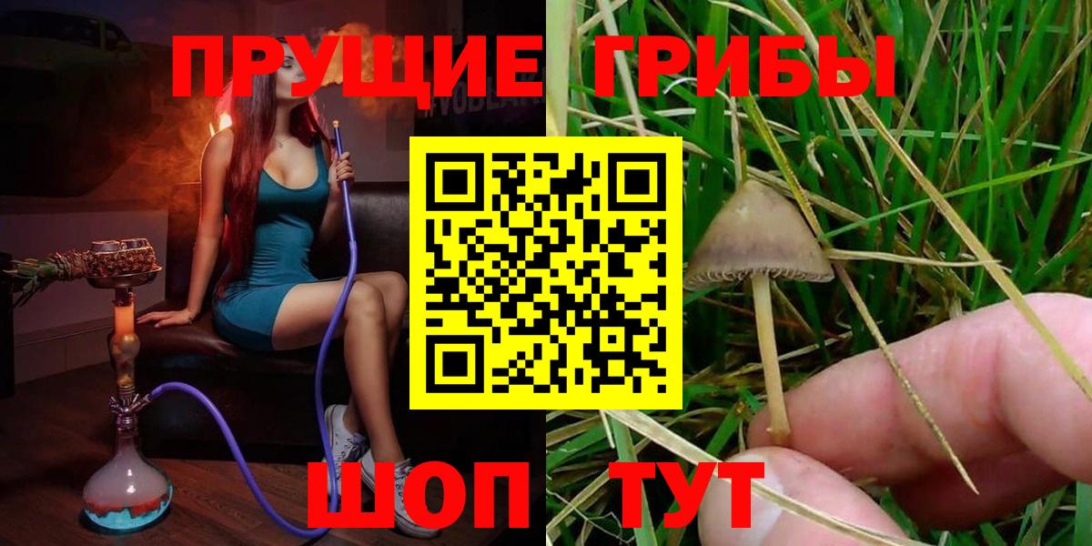 Псилоцибиновые грибы Magic Shrooms  Вход с VPN  Клинцы  Псилоцибиновые грибы мицелий 